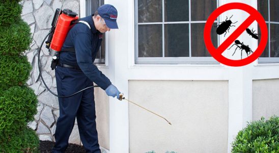 Otlukbeli Kene İlaçlama böcek ilaçlama ve haşere kontrolü — ilaclama-tr.com